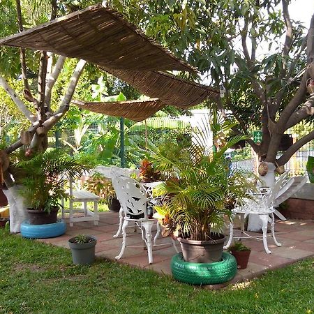 Real Del Ambar Otel Tuxtla Gutiérrez Dış mekan fotoğraf